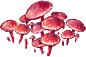 10ea4564-696a-47d8-8757-9af906185bc1.png