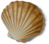 3.png