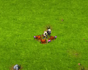 Abóboras Surpresas.gif