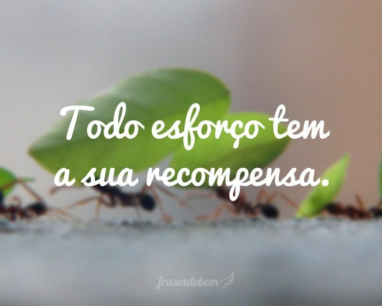 bfff0632a7014ba6f9a3b8b37b0e8957.jpg