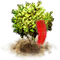 bottlebrush_upgrade_0.png