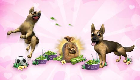 cachorro7.jpg