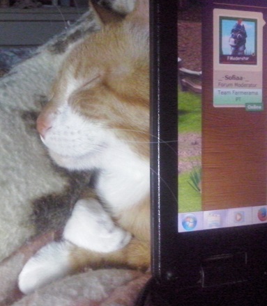 CAM00268.jpg