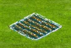 dailyqjan2026q1iceflower.gif