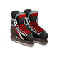 dailyqjan2026q1iceskates_big.png