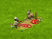 dlbq32019ringtoss.gif