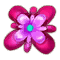 Flor aquatica.png