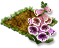 foxgloves_icon_big.png