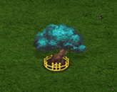 fusang_upgrade_2.gif