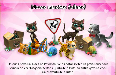 gatos miss.png