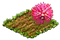hiddenobjmay2025calliandra.png