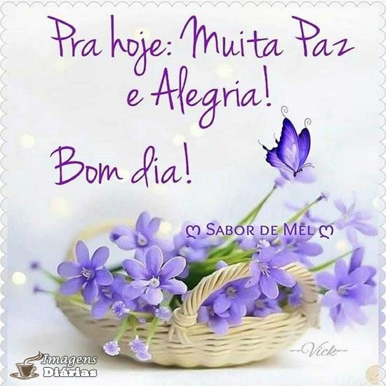 IMG-20181227-WA0005.jpg