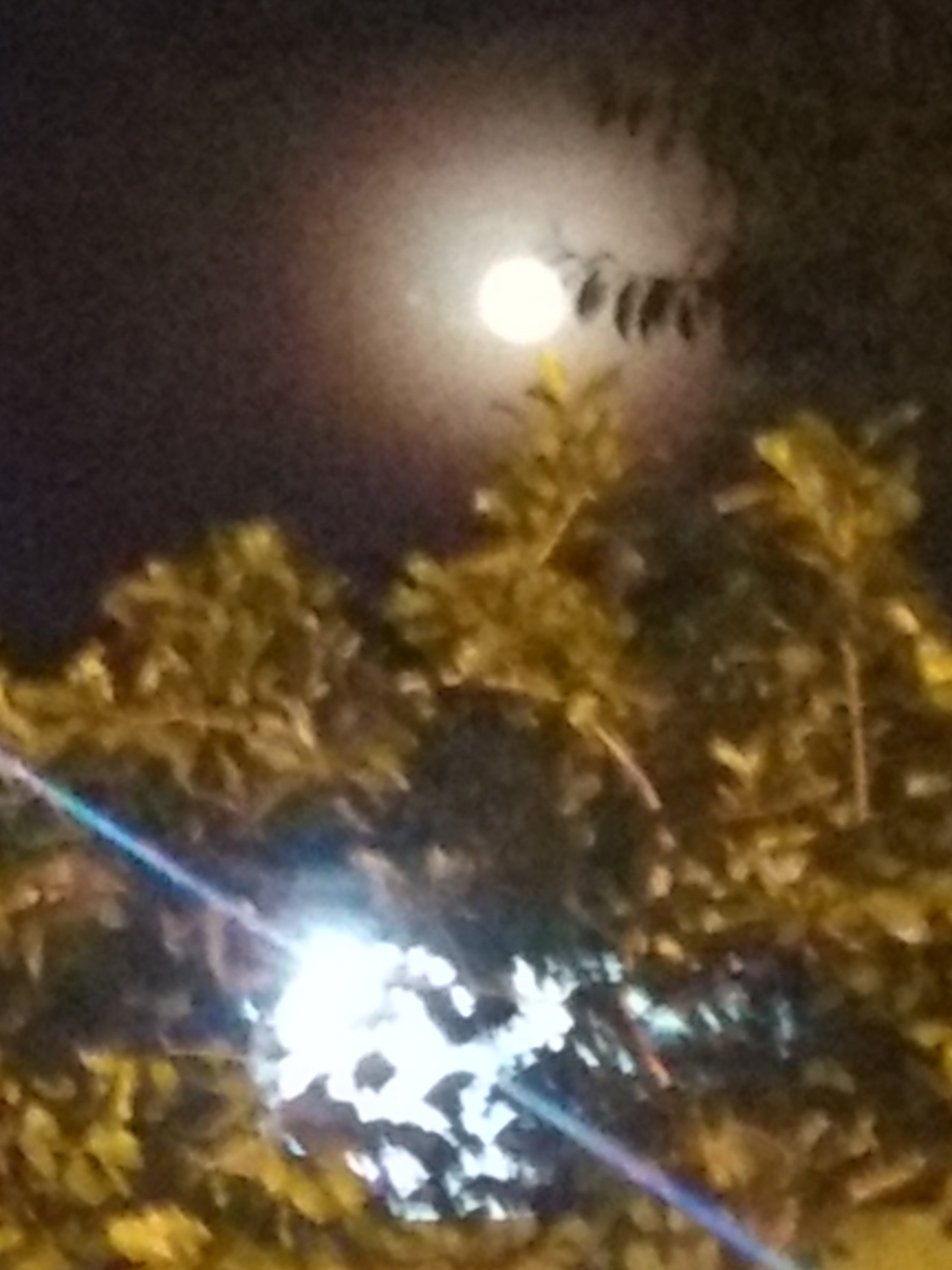 IMG_20190816_194308521.jpg