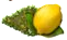 limão.png