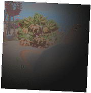 oie_oie_animation (1).gif