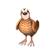 quail_big.png