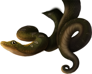 reward_02_snake - Copia.png