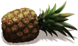 reward_04_pineapple - Copia.png