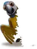 reward_06_parrot - Copia.png