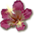 reward_07_ceibaflower - Copia.png