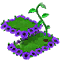 rowsaleaug2025package.png