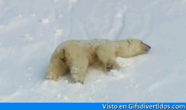 se-desbarranca.gif