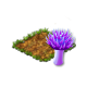 seedsearchaug2018thistlefungus_big.png