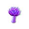 seedsearchaug2018thistlefungus_small.png