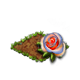 seedsearchaug2018valleyrose_big.png