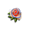 seedsearchaug2018valleyrose_small.png