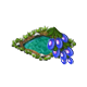 seedsearchaug2018waterberry_big.png