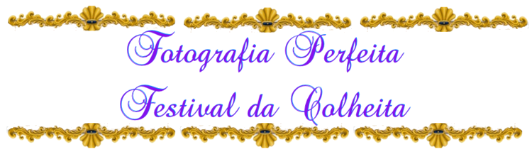 titulo4.png