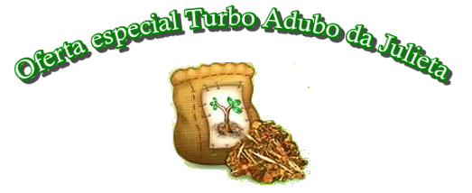 turbojulieta.png